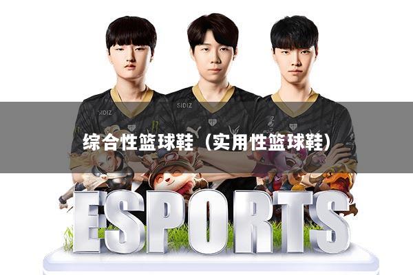 综合性篮球鞋（实用性篮球鞋）